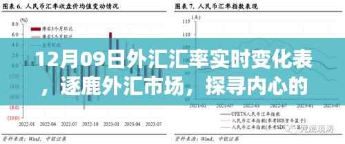 揭秘外汇市场风云变幻,探寻汇率背后的故事——12月09日外汇汇率实时变化表解析