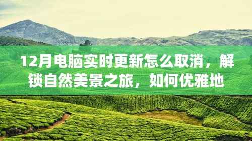 12月电脑更新取消指南与解锁自然美景之旅,优雅避开更新,寻找心灵宁静绿洲