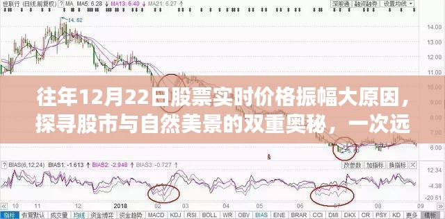 探寻股市与自然美景的双重奥秘,股市实时价格振幅背后的心灵之旅揭秘