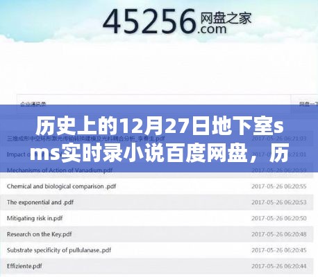 历史上的12月27日,地下室短信实录小说百度网盘之旅
