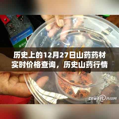 业绩展示 第127页