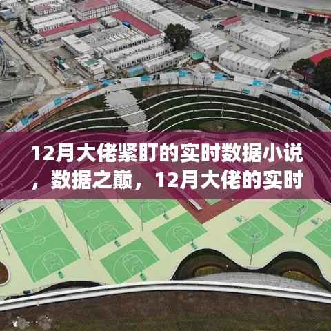 数据之巅,12月大佬的实时数据追踪与自我超越之旅