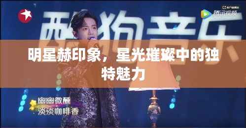 明星赫印象,星光璀璨中的独特魅力