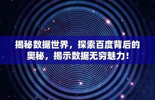 公司概况 第113页