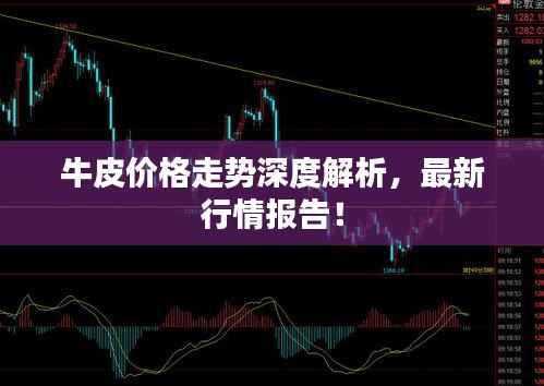 牛皮价格走势深度解析,最新行情报告!