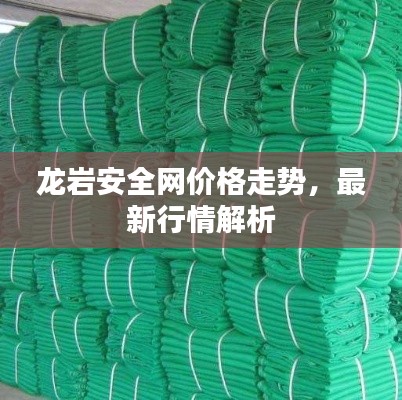 龙岩安全网价格走势,最新行情解析