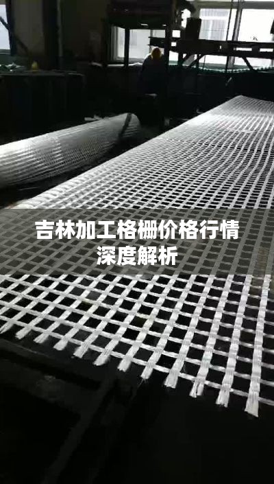 吉林加工格栅价格行情深度解析