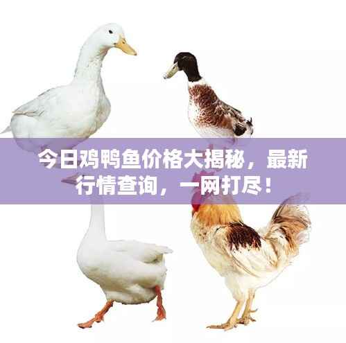 勃然大怒 第3页