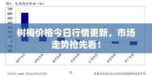 树梅价格今日行情更新,市场走势抢先看!