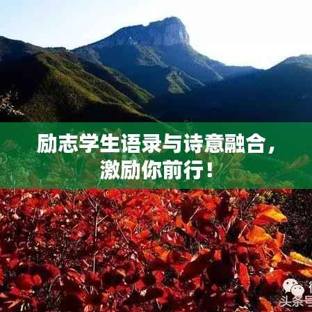 励志学生语录与诗意融合，激励你前行！