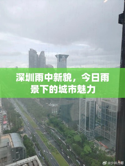 深圳雨中新貌,今日雨景下的城市魅力