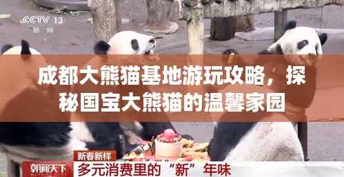 成都大熊猫基地游玩攻略,探秘国宝大熊猫的温馨家园