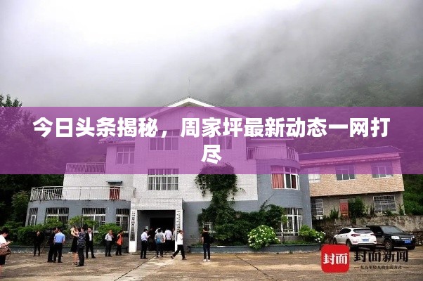 今日头条揭秘,周家坪最新动态一网打尽