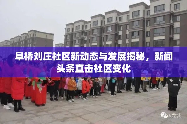 神清气朗 第3页