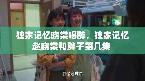 独家记忆晓棠喝醉,独家记忆赵晓棠和胖子第几集