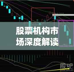 股票机构市场深度解读与前景展望