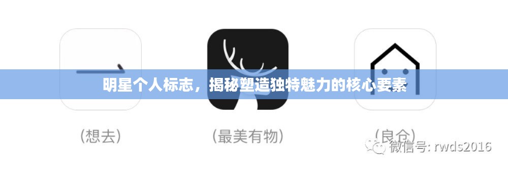 明星个人标志,揭秘塑造独特魅力的核心要素