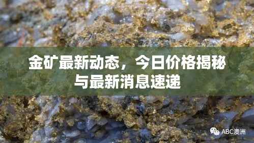 金矿最新动态,今日价格揭秘与最新消息速递
