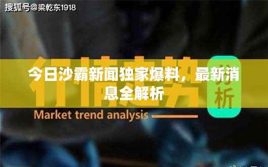 今日沙霸新闻独家爆料,最新消息全解析