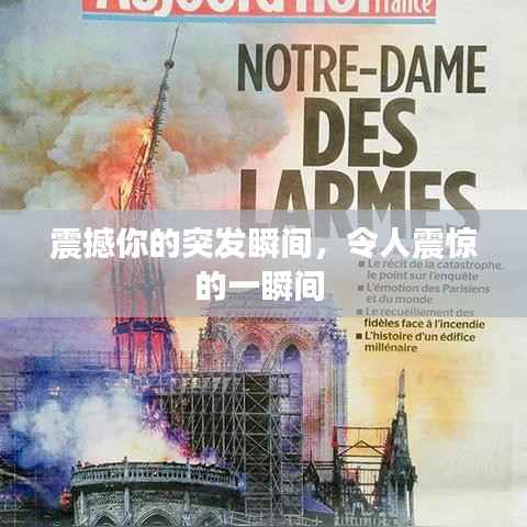 联系我们 第94页