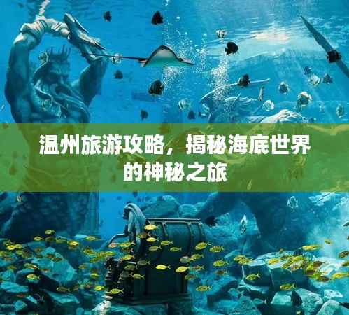 温州旅游攻略,揭秘海底世界的神秘之旅