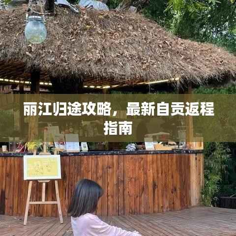 丽江归途攻略,最新自贡返程指南