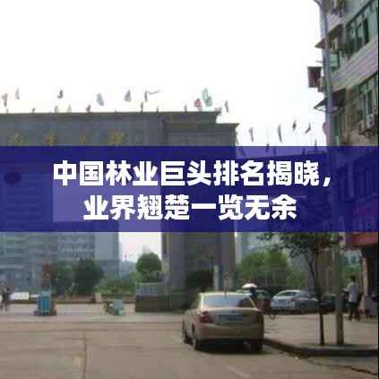 中国林业巨头排名揭晓,业界翘楚一览无余