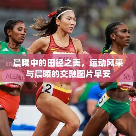 花开无言 第2页