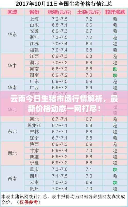云南今日生猪市场行情解析，最新价格动态一网打尽！