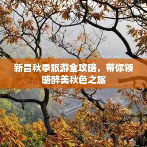 新昌秋季旅游全攻略,带你领略醉美秋色之旅