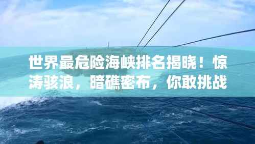 诚聘英才 第83页