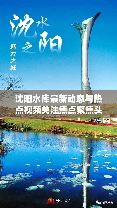 沈阳水库最新动态与热点视频关注焦点聚焦头条