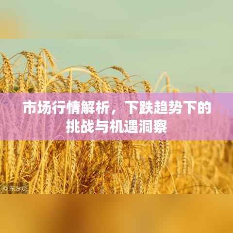 威风凛凛 第2页