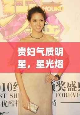 贵妇气质明星,星光熠熠的优雅典范