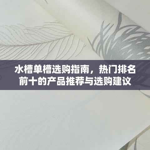 水槽单槽选购指南，热门排名前十的产品推荐与选购建议