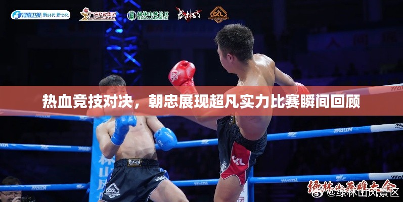 热血竞技对决,朝忠展现超凡实力比赛瞬间回顾