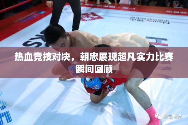 热血竞技对决,朝忠展现超凡实力比赛瞬间回顾