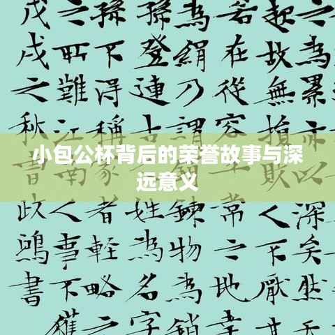 小包公杯背后的荣誉故事与深远意义