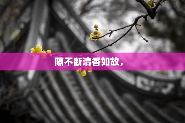 隔不断清香如故,