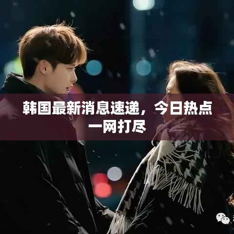 韩国最新消息速递,今日热点一网打尽