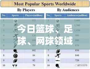 今日篮球、足球、网球领域顶尖球员评分表大揭秘,最新评分榜单重磅出炉!