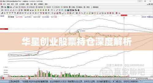 华星创业股票持仓深度解析
