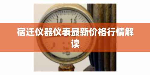 宿迁仪器仪表最新价格行情解读