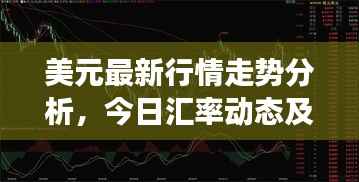 美元最新行情走势分析,今日汇率动态及市场解读