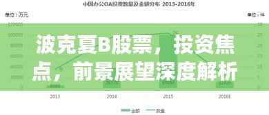 波克夏B股票，投资焦点，前景展望深度解析