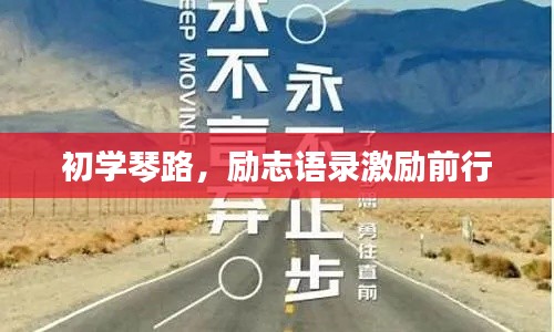 初学琴路，励志语录激励前行