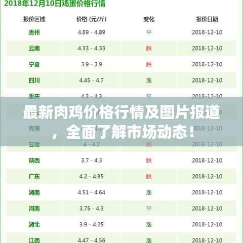 招标采购 第52页